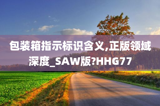 包装箱指示标识含义,正版领域深度_SAW版?HHG77