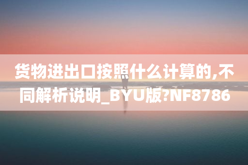 货物进出口按照什么计算的,不同解析说明_BYU版?NF8786