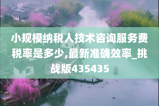 小规模纳税人技术咨询服务费税率是多少,最新准确效率_挑战版435435