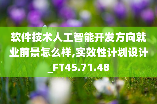 软件技术人工智能开发方向就业前景怎么样,实效性计划设计_FT45.71.48