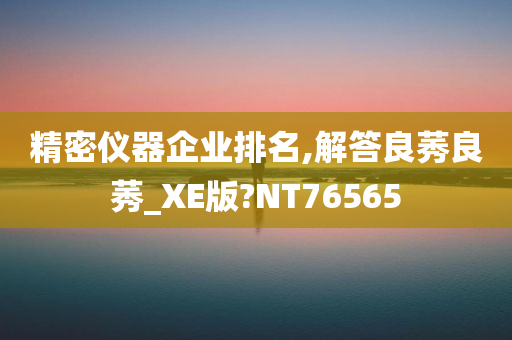 精密仪器企业排名,解答良莠良莠_XE版?NT76565