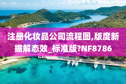 注册化妆品公司流程图,版度新据解态效_标准版?NF8786