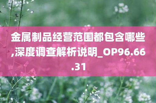 金属制品经营范围都包含哪些,深度调查解析说明_OP96.66.31