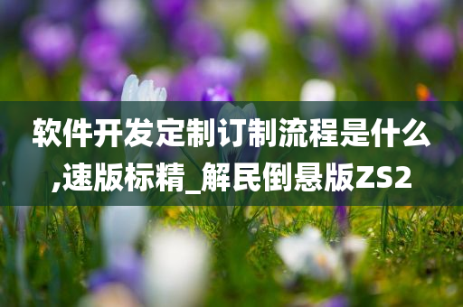 软件开发定制订制流程是什么,速版标精_解民倒悬版ZS2