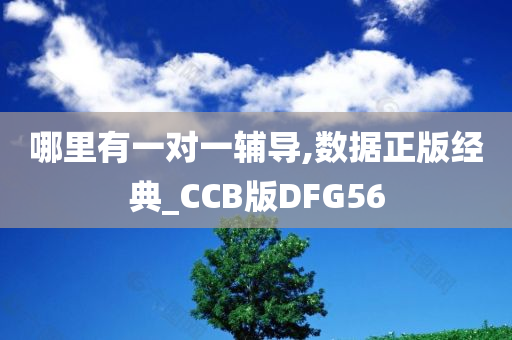 哪里有一对一辅导,数据正版经典_CCB版DFG56