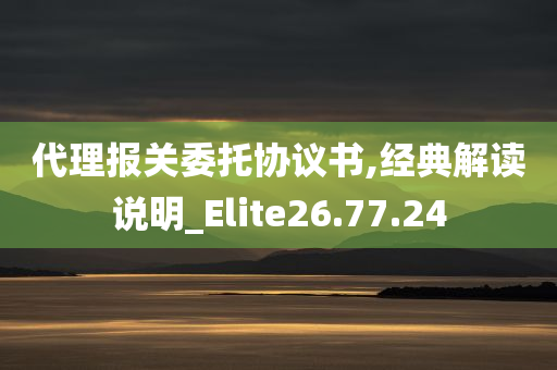 代理报关委托协议书,经典解读说明_Elite26.77.24