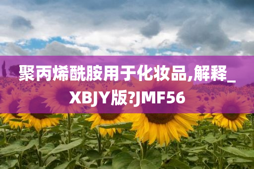 聚丙烯酰胺用于化妆品,解释_XBJY版?JMF56