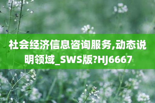 社会经济信息咨询服务,动态说明领域_SWS版?HJ6667