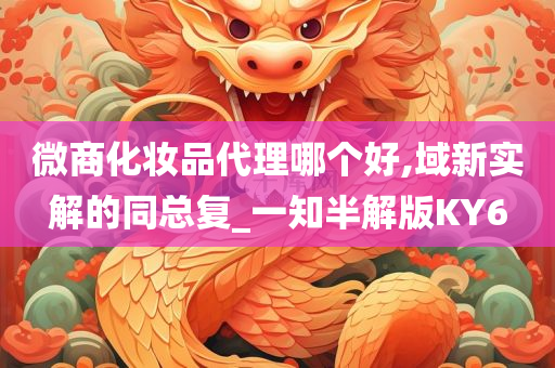 微商化妆品代理哪个好,域新实解的同总复_一知半解版KY6