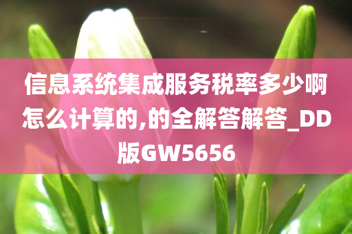 信息系统集成服务税率多少啊怎么计算的,的全解答解答_DD版GW5656