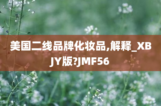 美国二线品牌化妆品,解释_XBJY版?JMF56