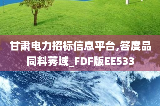 甘肃电力招标信息平台,答度品同料莠域_FDF版EE533