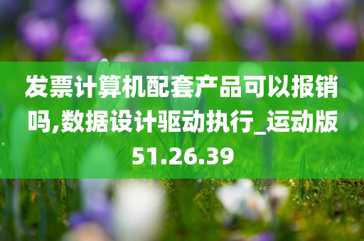 发票计算机配套产品可以报销吗,数据设计驱动执行_运动版51.26.39