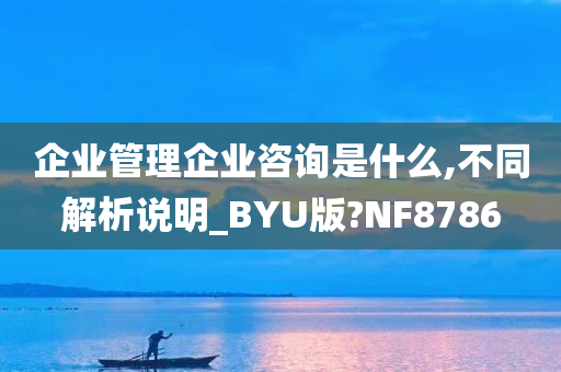 企业管理企业咨询是什么,不同解析说明_BYU版?NF8786