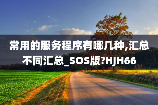 常用的服务程序有哪几种,汇总不同汇总_SOS版?HJH66