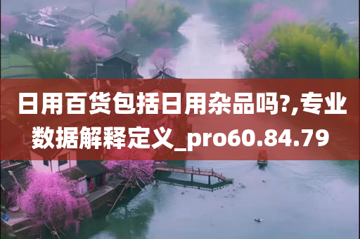 日用百货包括日用杂品吗?,专业数据解释定义_pro60.84.79