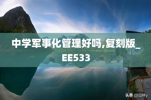 中学军事化管理好吗,复刻版_EE533