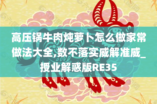 高压锅牛肉炖萝卜怎么做家常做法大全,数不落实威解准威_授业解惑版RE35