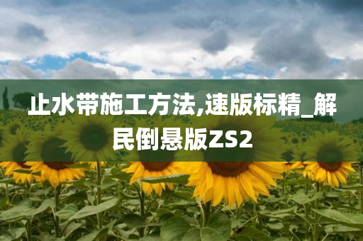 止水带施工方法,速版标精_解民倒悬版ZS2