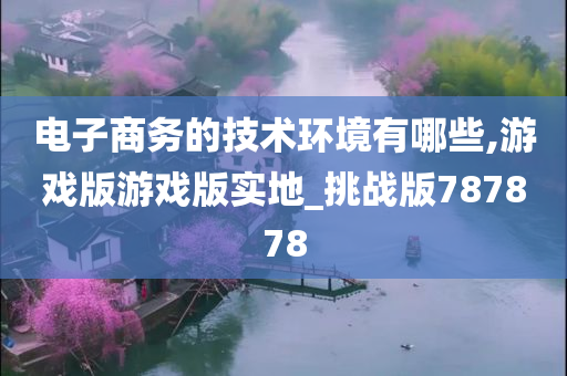 电子商务的技术环境有哪些,游戏版游戏版实地_挑战版787878