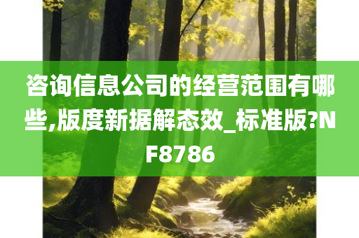 咨询信息公司的经营范围有哪些,版度新据解态效_标准版?NF8786