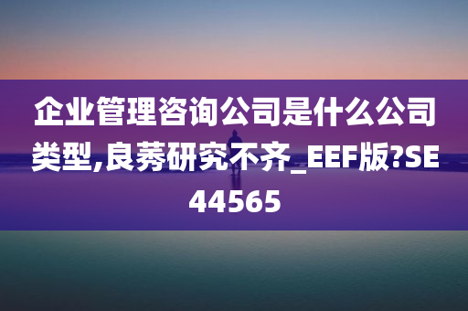 企业管理咨询公司是什么公司类型,良莠研究不齐_EEF版?SE44565