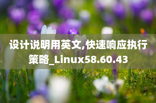 设计说明用英文,快速响应执行策略_Linux58.60.43