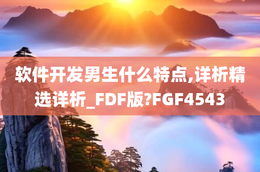 软件开发男生什么特点,详析精选详析_FDF版?FGF4543