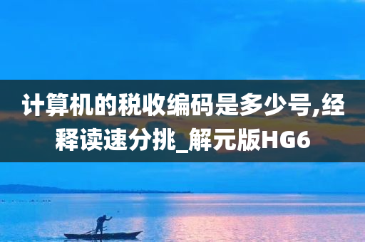 计算机的税收编码是多少号,经释读速分挑_解元版HG6