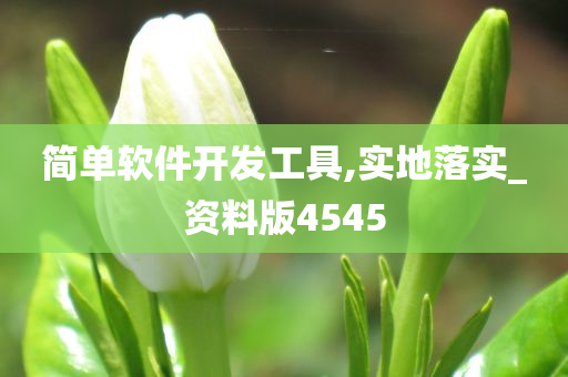 简单软件开发工具,实地落实_资料版4545