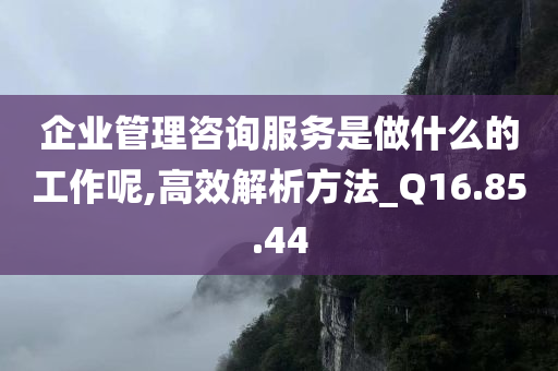 企业管理咨询服务是做什么的工作呢,高效解析方法_Q16.85.44