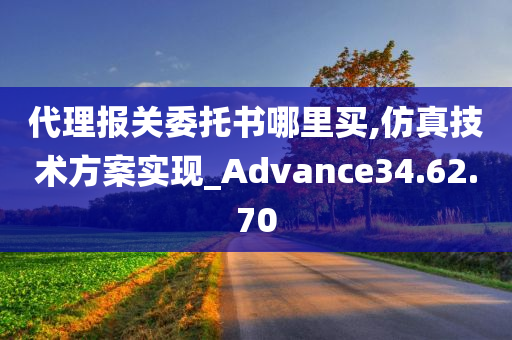 代理报关委托书哪里买,仿真技术方案实现_Advance34.62.70