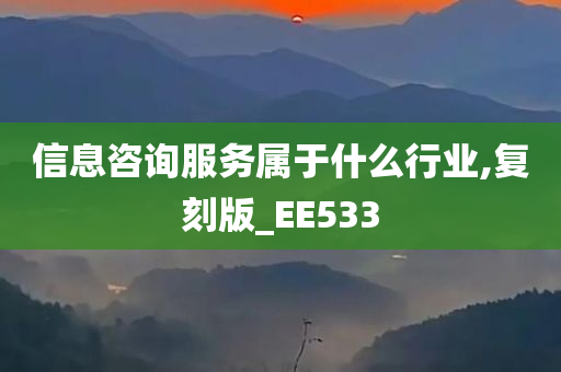 信息咨询服务属于什么行业,复刻版_EE533