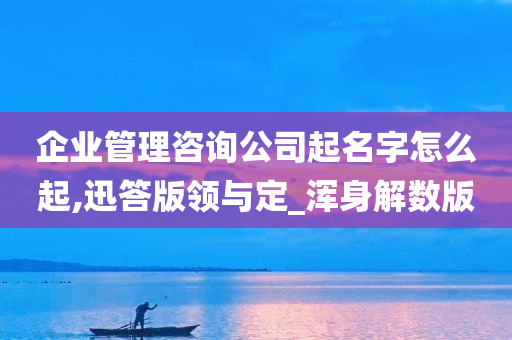 企业管理咨询公司起名字怎么起,迅答版领与定_浑身解数版