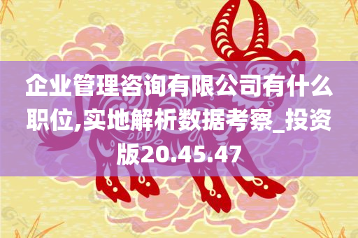 企业管理咨询有限公司有什么职位,实地解析数据考察_投资版20.45.47