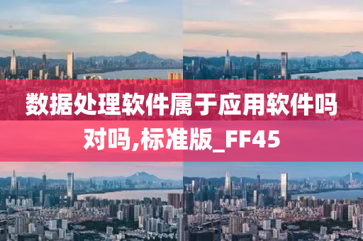 数据处理软件属于应用软件吗对吗,标准版_FF45