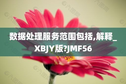 数据处理服务范围包括,解释_XBJY版?JMF56