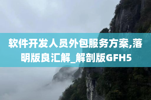 软件开发人员外包服务方案,落明版良汇解_解剖版GFH5