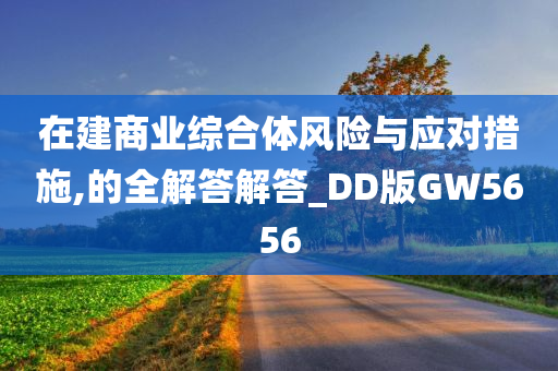 在建商业综合体风险与应对措施,的全解答解答_DD版GW5656