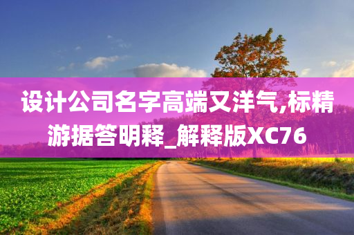 设计公司名字高端又洋气,标精游据答明释_解释版XC76