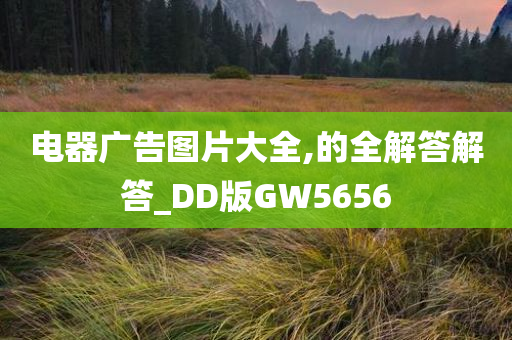 电器广告图片大全,的全解答解答_DD版GW5656