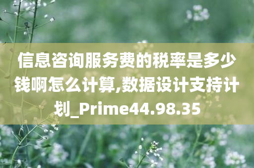 信息咨询服务费的税率是多少钱啊怎么计算,数据设计支持计划_Prime44.98.35