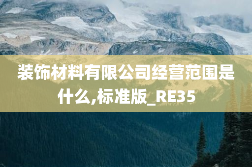 装饰材料有限公司经营范围是什么,标准版_RE35