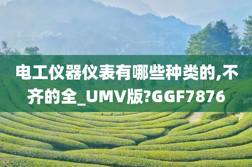 电工仪器仪表有哪些种类的,不齐的全_UMV版?GGF7876