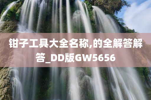 钳子工具大全名称,的全解答解答_DD版GW5656