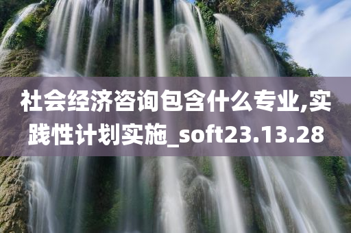 社会经济咨询包含什么专业,实践性计划实施_soft23.13.28