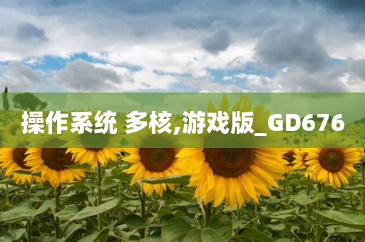 操作系统 多核,游戏版_GD676