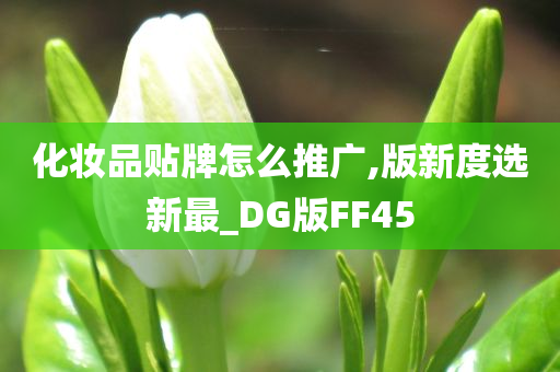 化妆品贴牌怎么推广,版新度选新最_DG版FF45