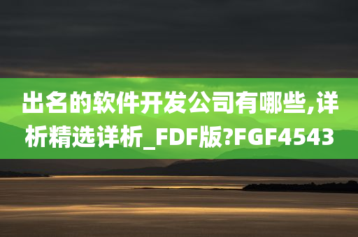 出名的软件开发公司有哪些,详析精选详析_FDF版?FGF4543