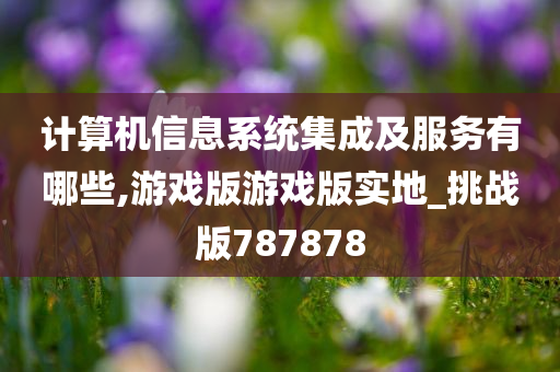 计算机信息系统集成及服务有哪些,游戏版游戏版实地_挑战版787878